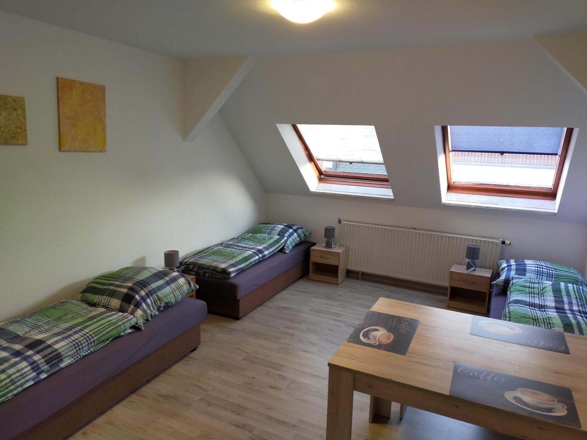 Flex Aparts - Grosse, Moeblierte Wohnung In Zwickau Mit 2 Zimmern エクステリア 写真