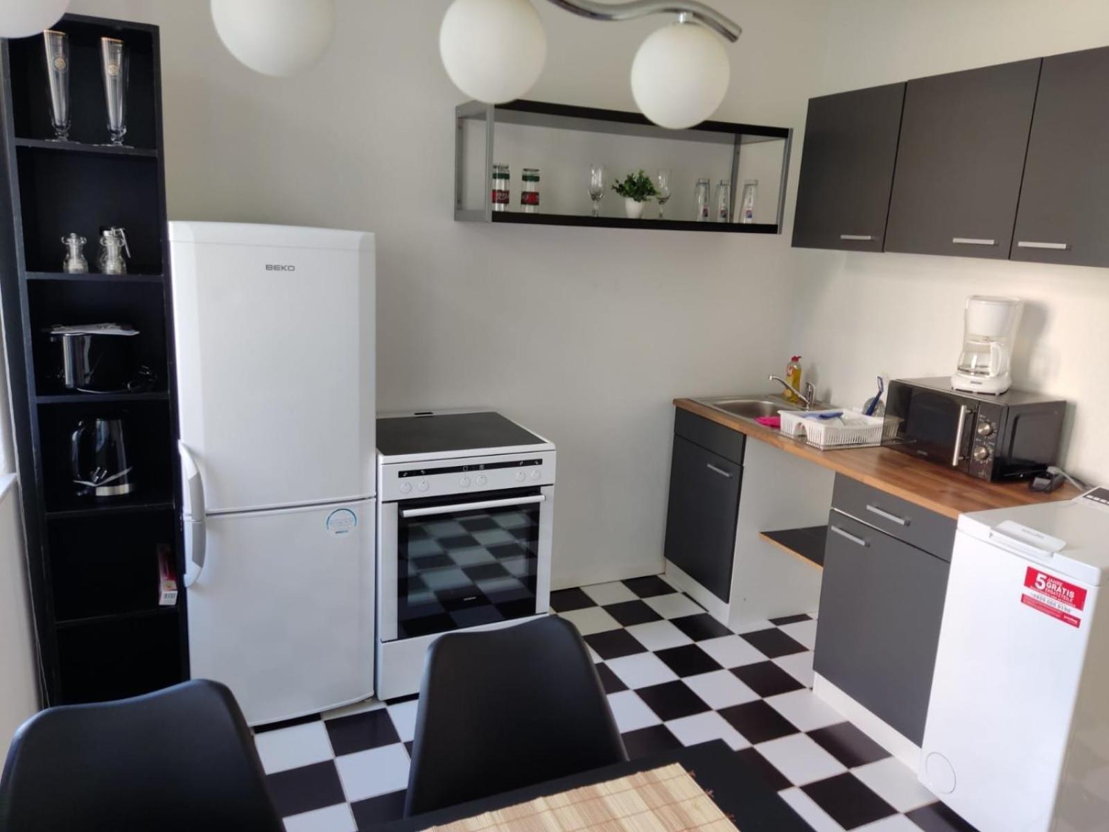 Flex Aparts - Grosse, Moeblierte Wohnung In Zwickau Mit 2 Zimmern エクステリア 写真